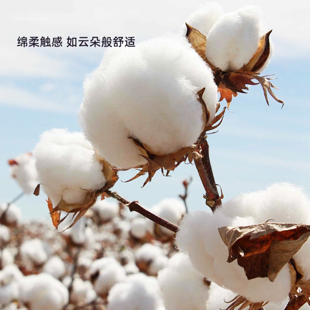 Sumbu Lilin Kapas Organik Beri - Cotton Wick Organic ulasan dan harga